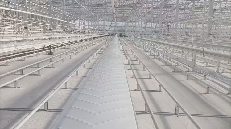 haoyuchina[1].jpg